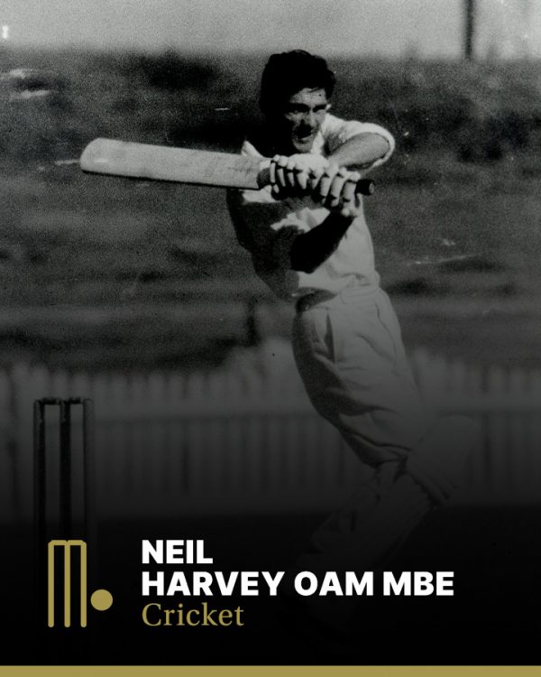 नील हार्वे